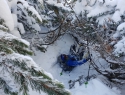 Enourno prebijanje skozi borovce.