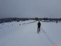 Rogla.