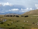 Šoferska baza 4800 m.