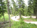 Pecnkenik downhill...