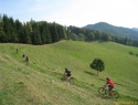 Lep travnik.