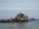 Tanote Bay (Ko Tao).