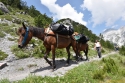 Trek Valbona-Teth.